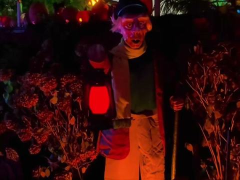 Hopkins Avenue Halloween House