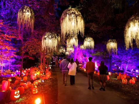 Harvest Nights at Newfields — Newfields · Sep 25-Nov 1