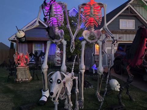 Mr. Bones