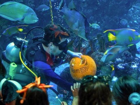 10th Annual Spooky Science Monster Mash — Phillip and Patricia Frost Museum of Science · Sat Oct 31
