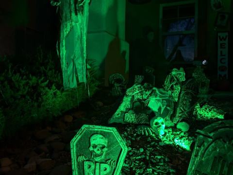 Seguin's Spooky Yard