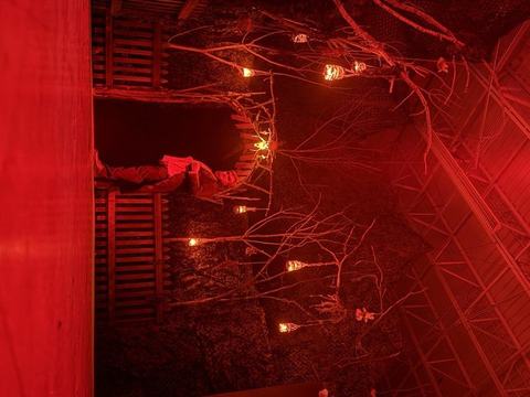 The Ritual Haunted House