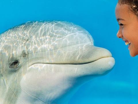 Halloween Spooktacular — SeaWorld San Antonio · Sep 11-Nov 1