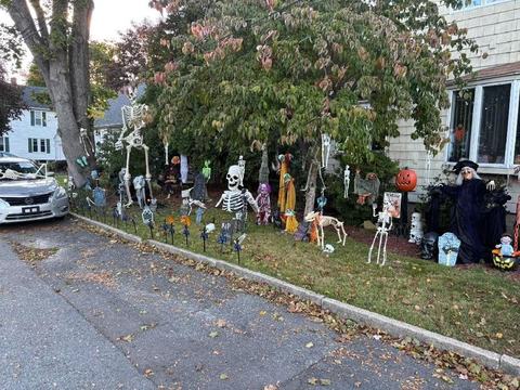 The Yard That Woke Up