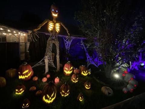 The Skeleton House