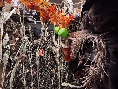 Frighthouse Of The Willows