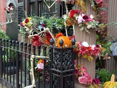 Skeleton Bride — Beacon Hill