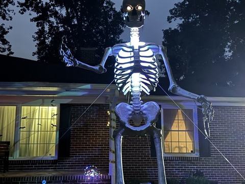 Skelly Yard