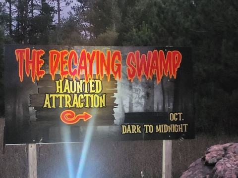 The Decaying Swamp