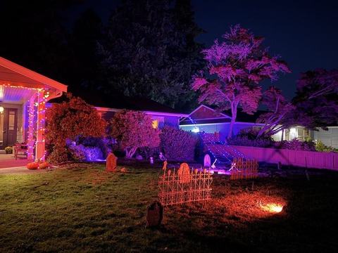 Kingsgate Garden Party