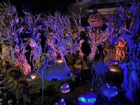 Gruesome Garden