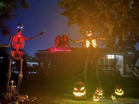 Mr bones & Friends