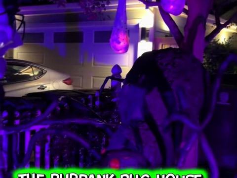 Burbank Bug House