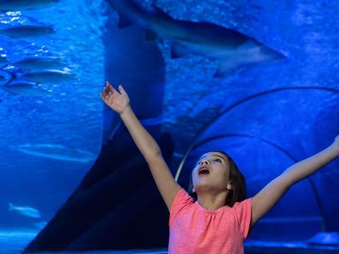 Tricks & Treats Halloween Event — SEA LIFE San Antonio · Oct 17-Nov 1