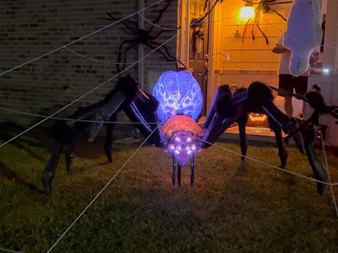 Spider House