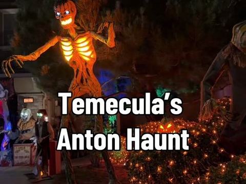 Anton Haunt