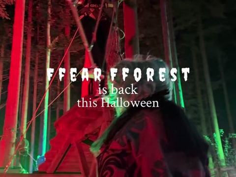 Ffear Fforest — Zip World Betws-y-Coed
