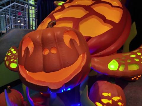 Fintastic Pumpkin Glow — Adventure Aquarium · Through Sun Nov 1