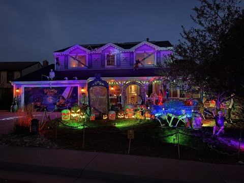 Pirates of Holland Court