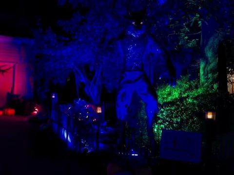 The Haunt of Brigadoon