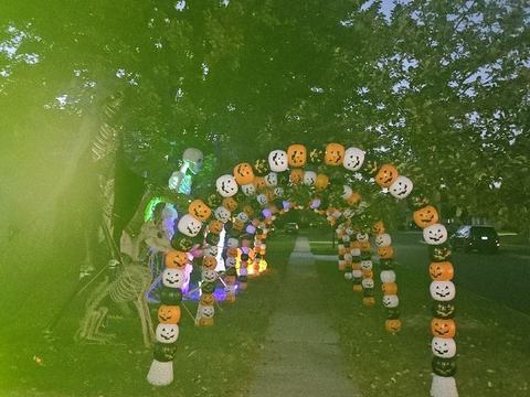 Pumpkin Archway
