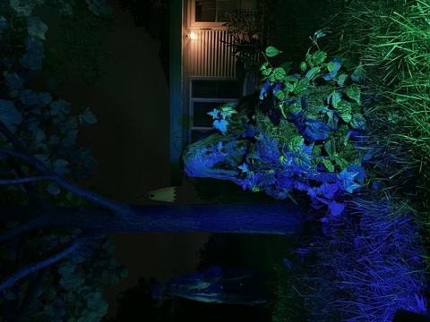 ATMOSFEARS Yard Haunt