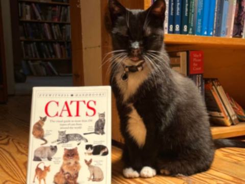 Shelf Life Books