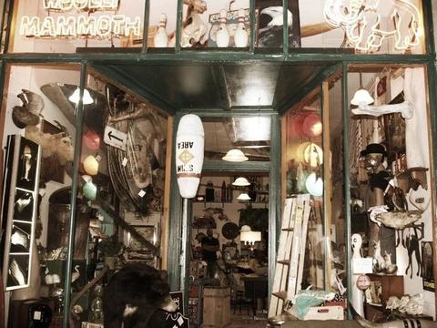 Woolly Mammoth Antiques and Oddities
