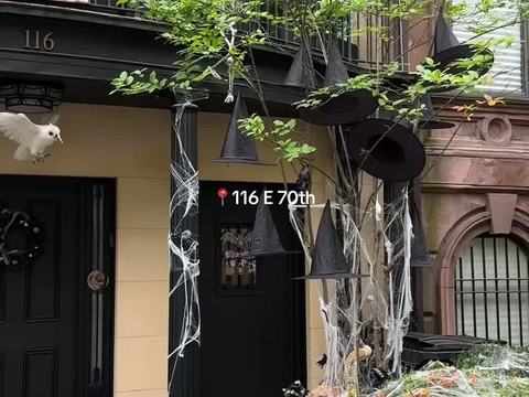 Witch Hats & Bats Stoop