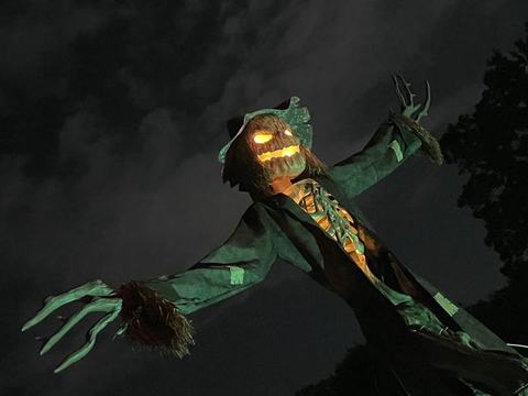 Welcome To Horrorwood!