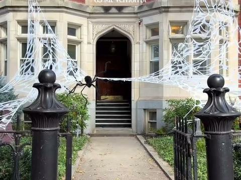Cabot Building Spider Webs — Beacon Hill