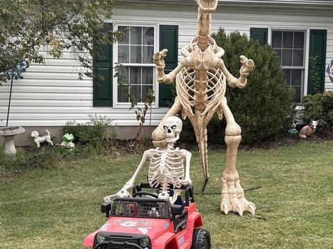 Freaky Yard