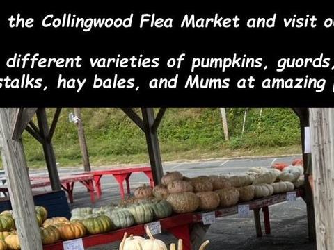 Collingwood Auction & Flea Market — Farmingdale, NJ · Fridays, Sat & Sun, 8 AM–5 PM, year-round