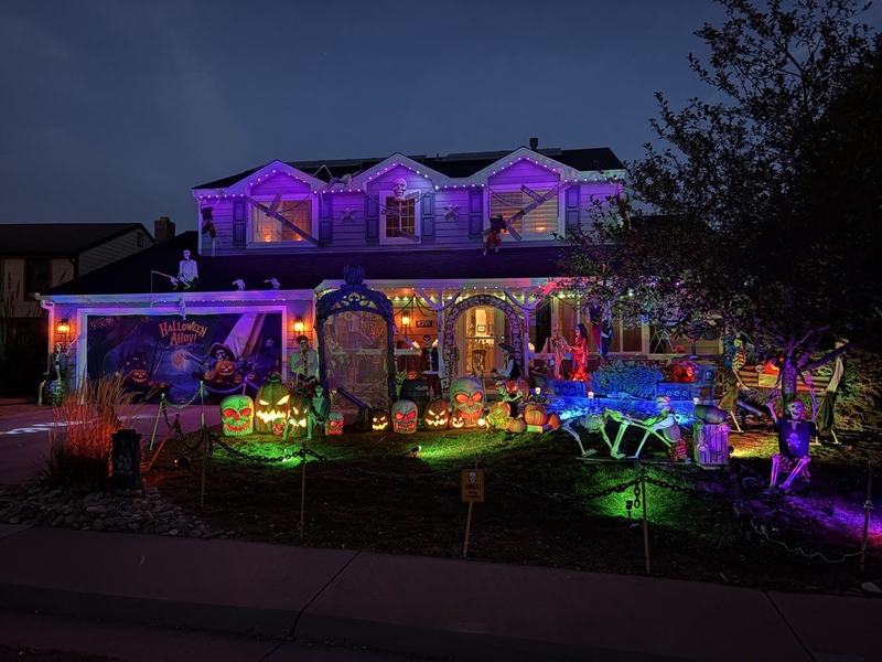 Pirates of Holland Court