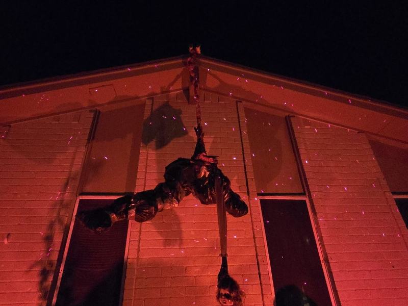 The Night The Dolls Woke Up