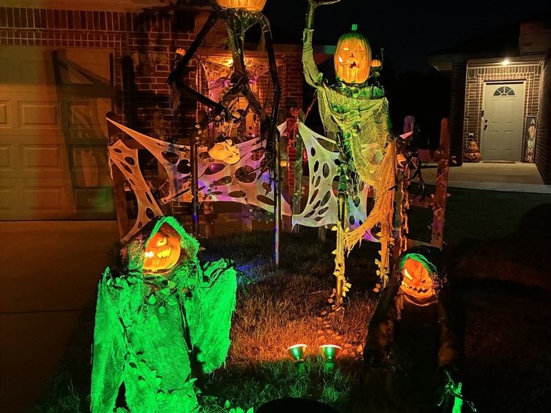The Dark Pumpkin Patch