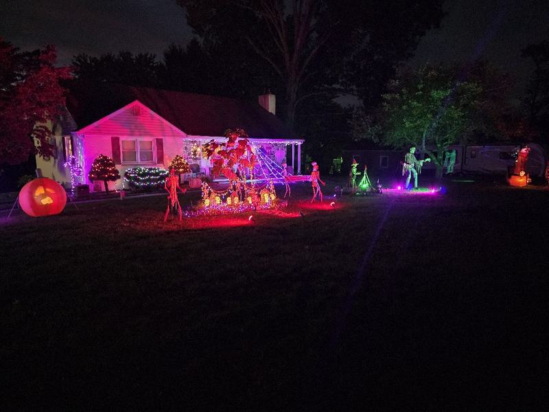 The Crimson Web Yard