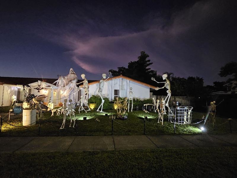 Miami Skeleton House