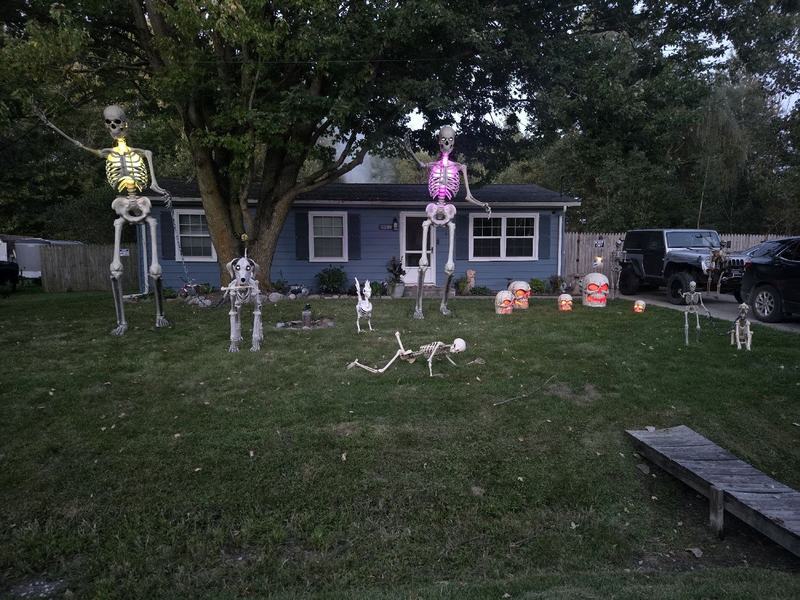 Mayer Skeletons 💀