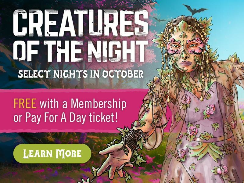 Creatures of the Night at ZooTampa — ZooTampa at Lowry Park · Oct 1-31