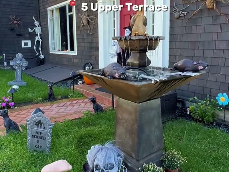 Upper Terrace Halloween Yard