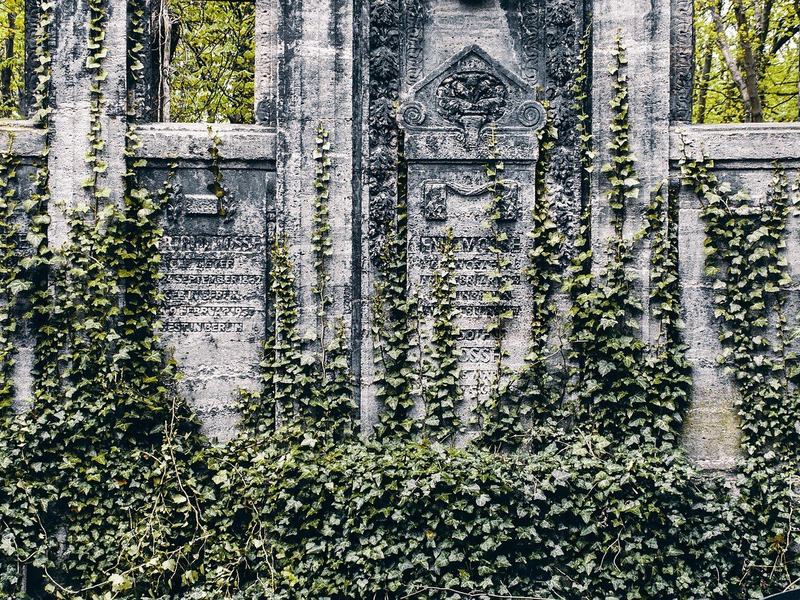 Decay of Ruhland