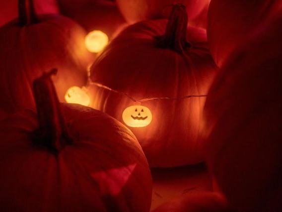 Chris' Farm Stand Pumpkin Festival