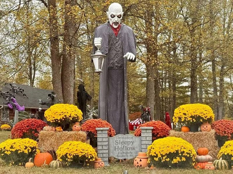 Raven's Hollow Haunted Woods