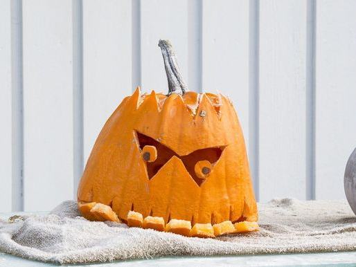 Sauchuk's Corn Maze & Pumpkin Patch — Weekends thru Oct 31