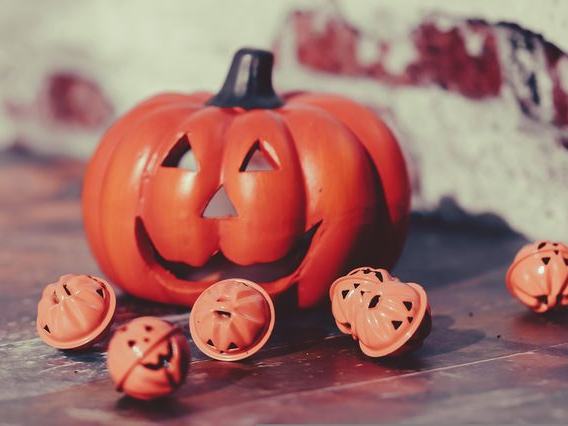 The Haunted Experience at Rockburn Branch Park West (Oct 16, Oct 17, Oct 23, Oct 24)