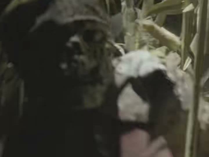 Universal Horror Unleashed