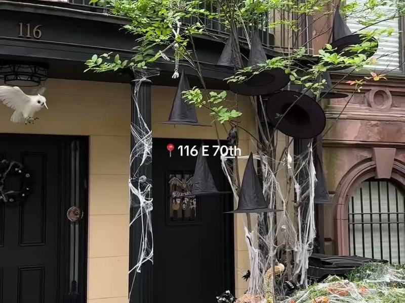 Witch Hats & Bats Stoop