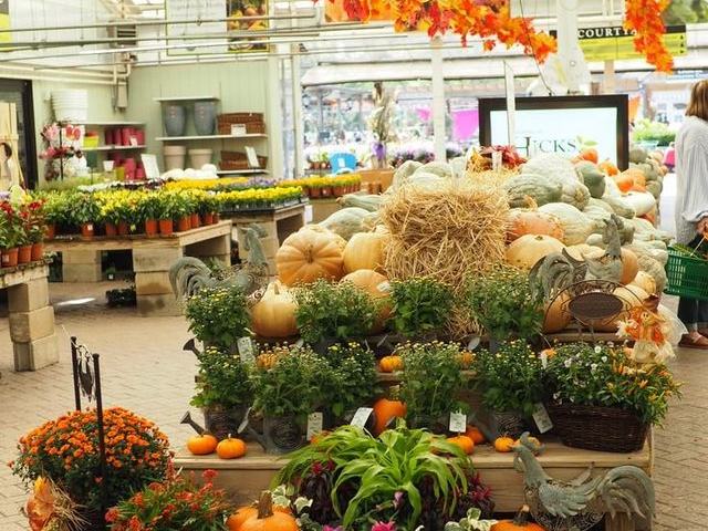 Hicks Nurseries Fall Festival — September 12 – November 1, 2026