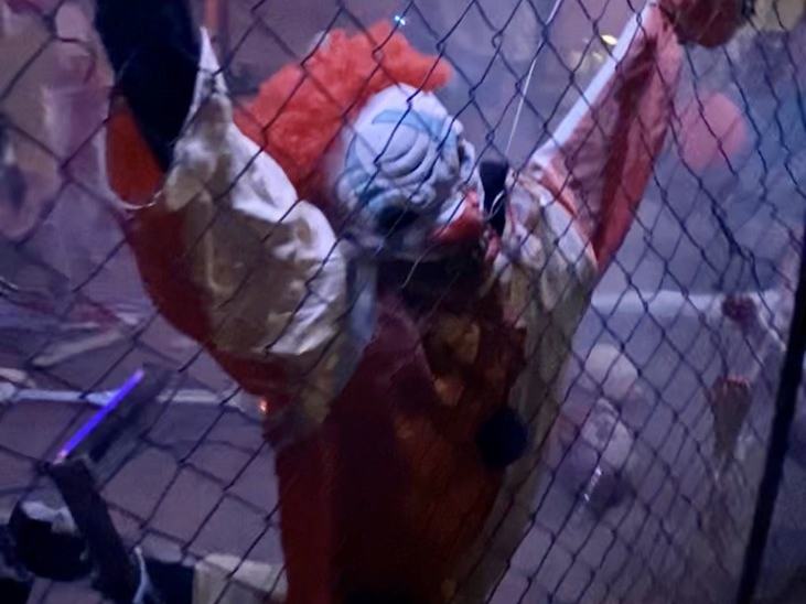 Mr.Halloween